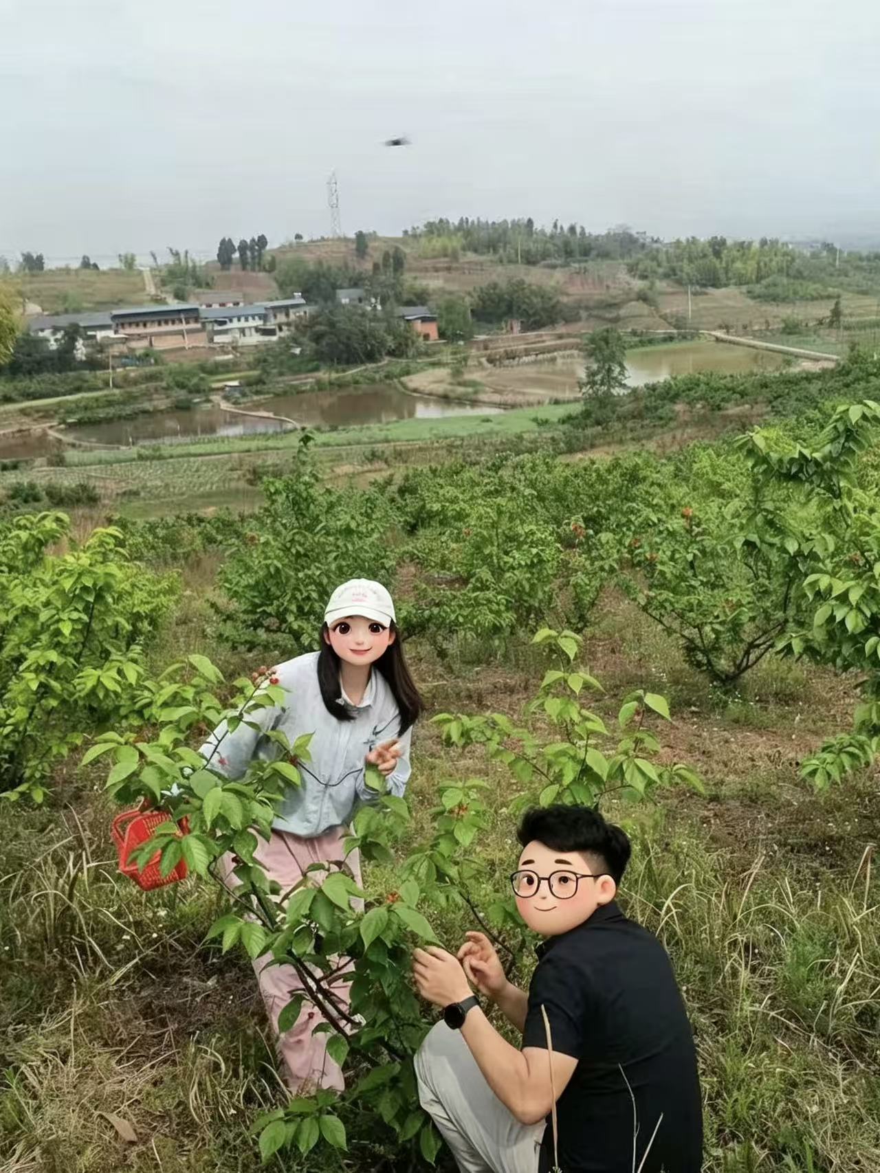 第一次一起摘樱桃